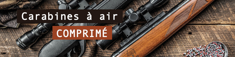 https://www.cote-chasse.com/media/catalog/category/carabine_air_comprime_cote-chasse.jpg
