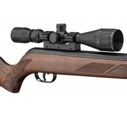 Carabine gamo Hunter 440 AS cal 4.5mm avec lunette 3-9 x 40 WR 19,9 joules  + munitions - Carabine a air comprime - Carabine à plomb - Tir de loisir