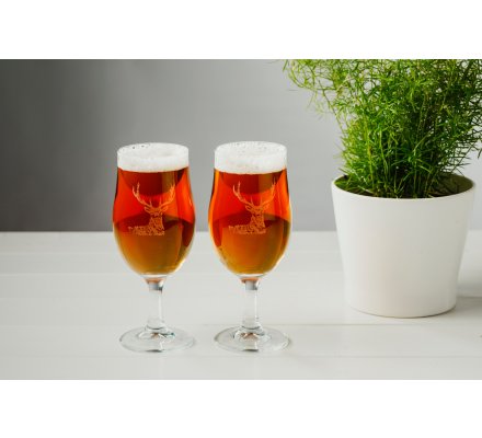 Coffret Bières + Verre : bières artisanales 2 x 33 cl + verre à