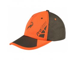 casquette griffon