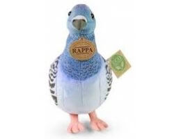 Peluche pigeon online