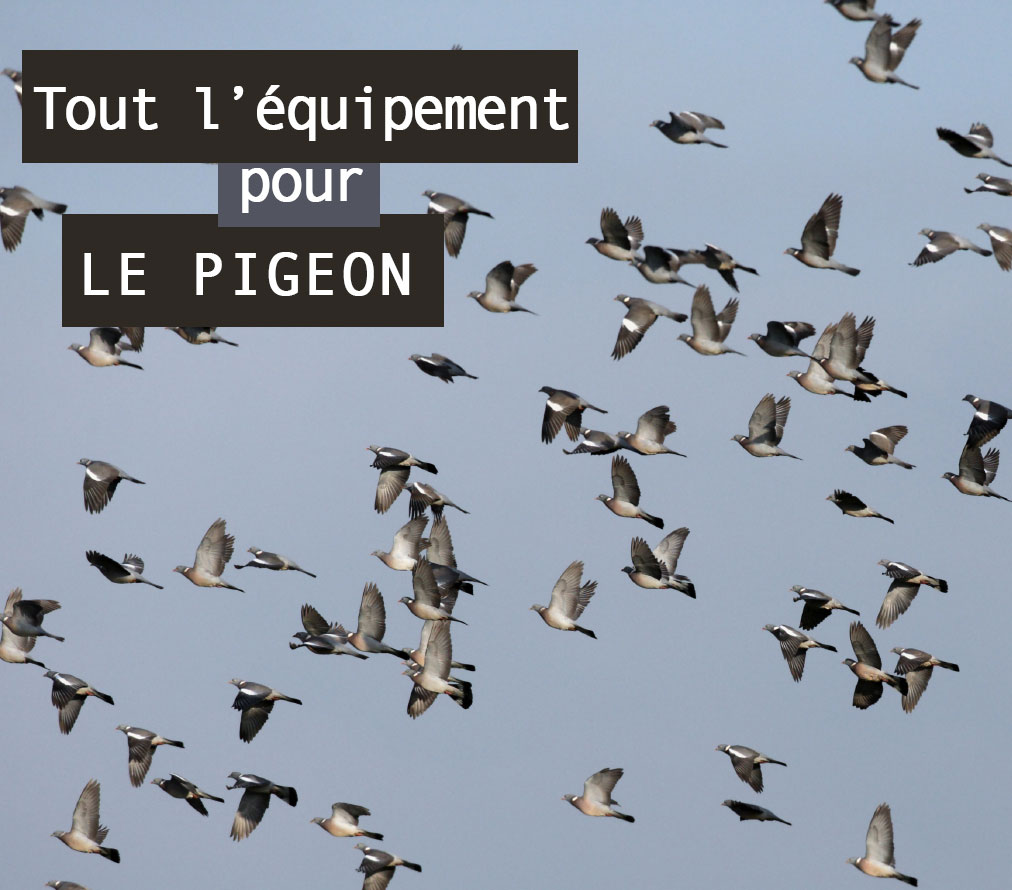 Equipement chasse du pigeon