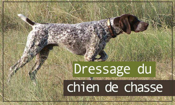 Côté Chasse : Article de chasse et équipement chasseur en ligne